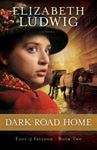 Picture of Dark Road Home - Elizabeth Ludwig