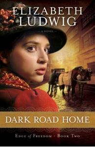 Picture of Dark Road Home - Elizabeth Ludwig