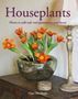 Picture of Houseplants