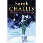 Picture of Jumping to Conclusions - Sarah Challis