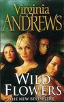 Picture of Wild Flowers - Virginia Andrews
