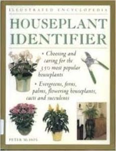 Picture of Houseplant Identifier