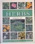 Picture of A South African Guide to Herbs
