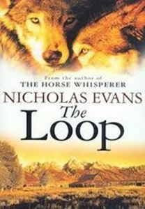 Picture of The Loop