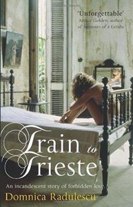 Picture of Train to Trieste - Domnica Radulescu