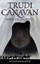 Picture of Priestess of the White - Trudi Canavan