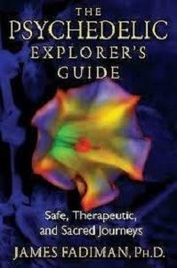 Picture of The Psychedelic Explorer's Guide