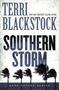 Picture of Southern Storm - Terri Blackstock