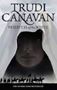 Picture of Priestess of the White - Trudi Canavan