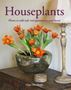 Picture of Houseplants