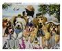 Picture of Animal Line-Up-100 Piece Puzzle