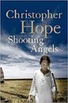 Picture of Shooting Angels