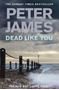 Picture of Dead Like You - Peter  James